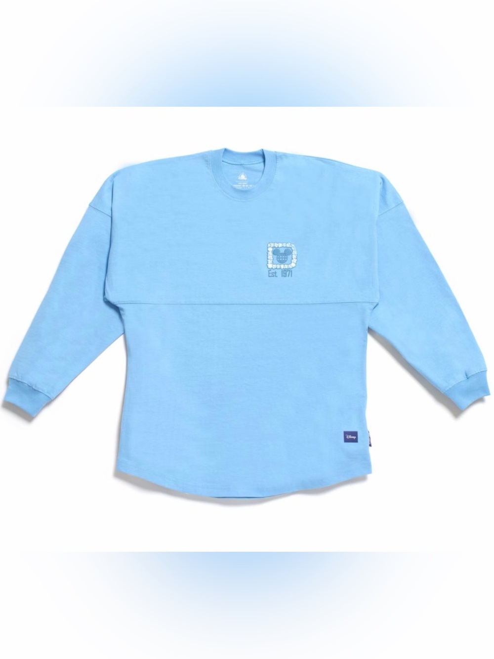Disney World Hydrangea Spirit Jersey